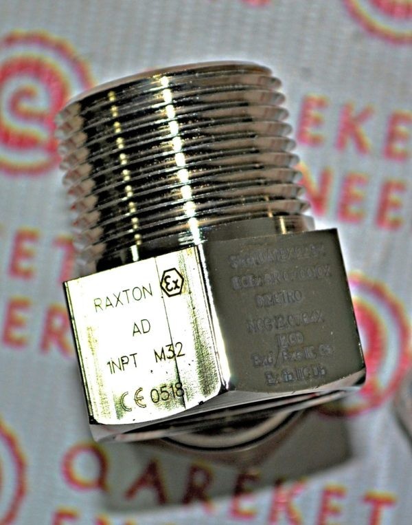 DSC_0165_обработано RAXTON AD 1 NPT M32
