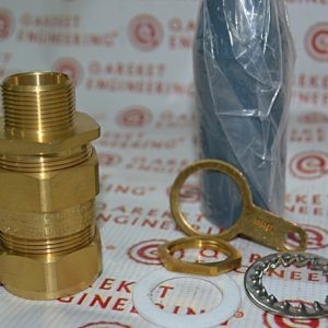 Взрывобезопасный Кабельный ввод серии Е3WBF3V1/25/M25